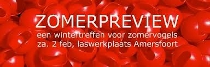 Zomerpreview Amersfoort 2013